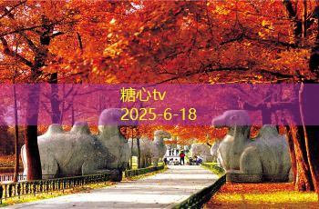 三室两厅装修全攻略，打造完美舒适家居