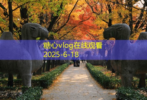 不装修入住毛坯房的实用攻略