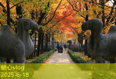 二手房装修翻新攻略，如何打造温馨宜居的居住空间