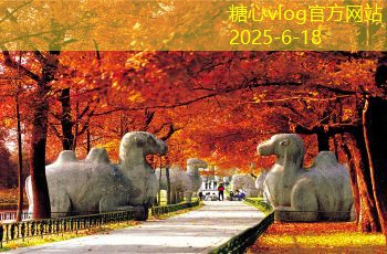 佛山装修攻略如何在预算内打造理想家园