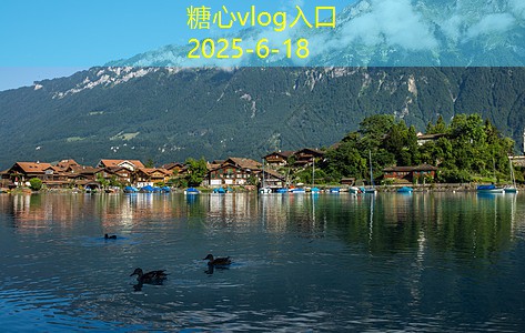 倩女鱼米之乡装修攻略 提升居住品质的装修技巧与建议