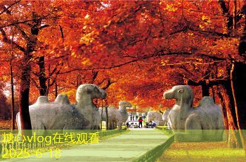 全包装修注意事项，避免常见误区和陷阱
