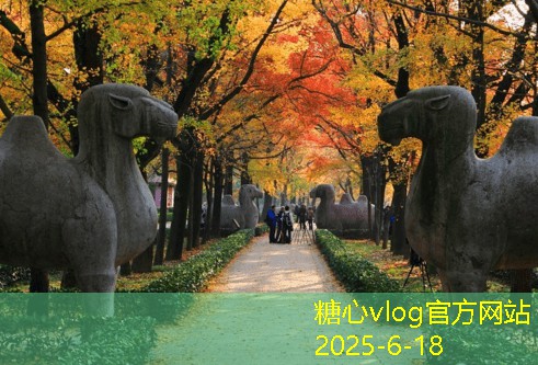 卫生间装修攻略：打造实用与美观兼具的理想空间