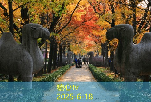 厨房装修注意事项，打造实用美观的烹饪空间