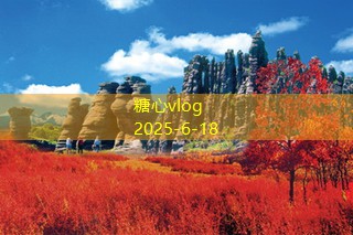 厨房装修知识大全