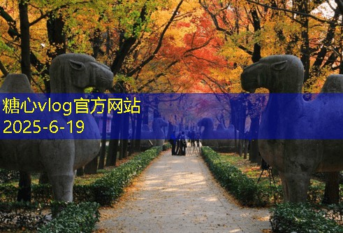 糖心vlog在线观看学装修入门知识，让你快速掌握家庭装修的基本要领