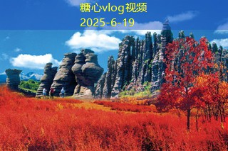 糖心tv如何打造一个完美的室内装修方案提升居住体验