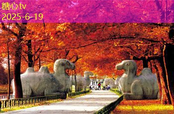 家居装修知识大全：从基础到高级的全面指南