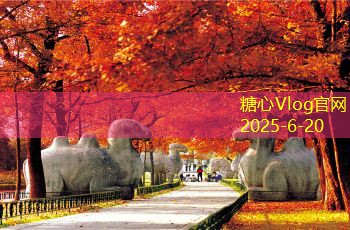 糖心vlog官方网站家庭装修攻略：如何避免常见装修误区，打造完美家居