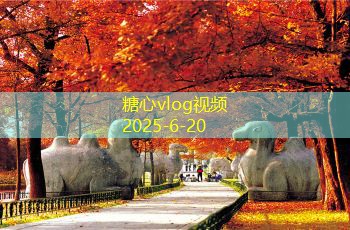 糖心vlog小户型装修如何巧妙利用空间打造理想居家环境