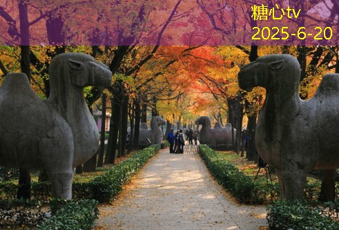 糖心vlog入口幼儿园装修注意事项解析助你打造安全舒适的学习环境