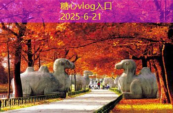 糖心vlog在线观看房子新装修怎么除甲醛 让室内空气更清新