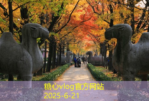 房子装修时需要注意哪些关键细节提升居住舒适度