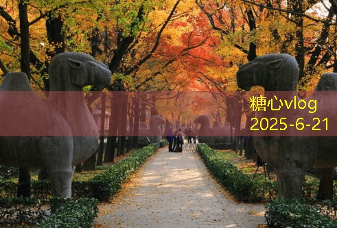 房装修攻略，打造舒适温馨家居环境的必备指南