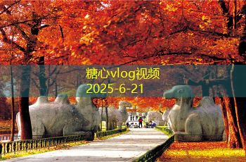 房间装修攻略让你轻松打造理想家居空间