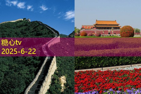 新手装修攻略从入门到精通的实用指南