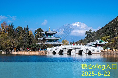 新手装修攻略大全，完美打造理想家园的必备技巧