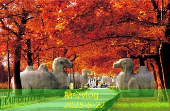 新手装修必备注意事项与细节解析，避免常见坑