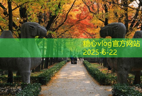 木工装修过程中不可忽视的细节和注意事项
