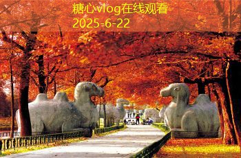 每天一点装修小知识，让你打造完美居家环境
