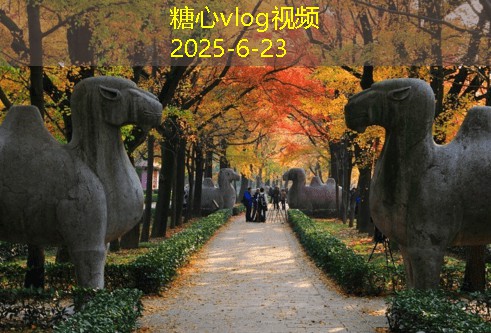 海南装修攻略全面指南 助你轻松打造理想家居