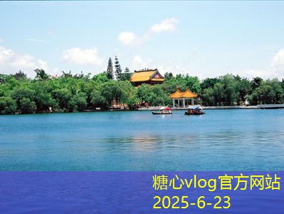 知乎装修攻略：打造理想家居的必备技巧与注意事项