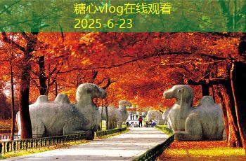 租房装修攻略：省心省力的装修技巧和注意事项