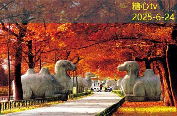 如何在装修中合理选择材料和设计风格实现完美搭配