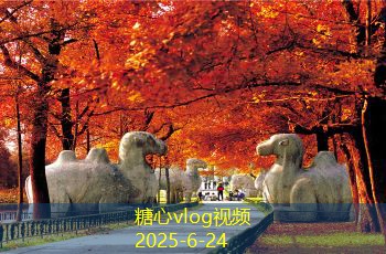 装修主材攻略：如何选择合适的装修主材，打造理想家居空间