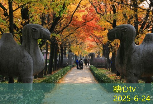装修公司装修注意事项，帮助你打造理想家居空间