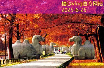 装修吊顶注意事项，提升家居美观与舒适度