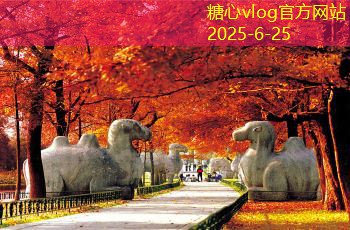 装修小知识图片分享，让你的家居装饰更美观