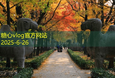 装修建材选择技巧及常见误区解析