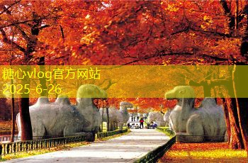 装修房子攻略：从设计到施工的全面指南