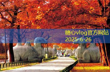装修攻略知乎：如何轻松打造完美家居空间