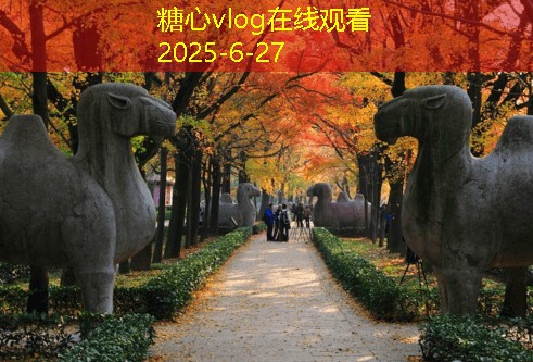 装修施工安全注意事项：确保施工现场安全的关键措施