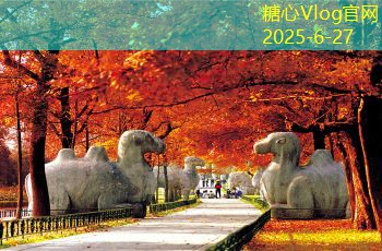 装修施工注意事项，打造安全美观的居家环境