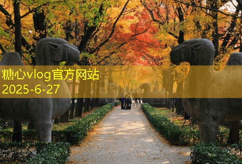 装修注意事项及细节200个，了解这些让你的家更完美
