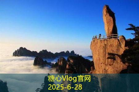糖心vlog在线观看装修省钱攻略，助你轻松打造理想家居