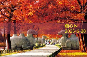 装修知识入门，助你轻松打造理想家居