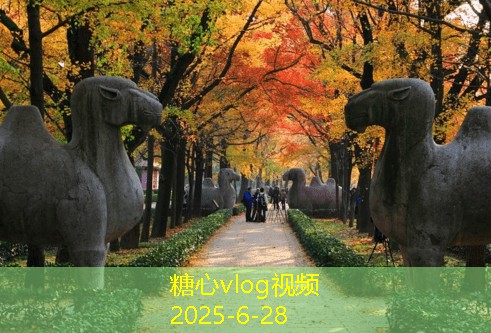 装修设计注意事项，打造舒适宜人的家居环境