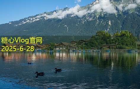 装修诅咒攻略：如何避免装修过程中的常见陷阱