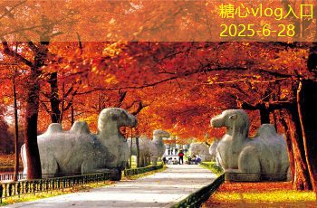 糖心vlog入口装修走水电注意事项：打造安全舒适的居住环境