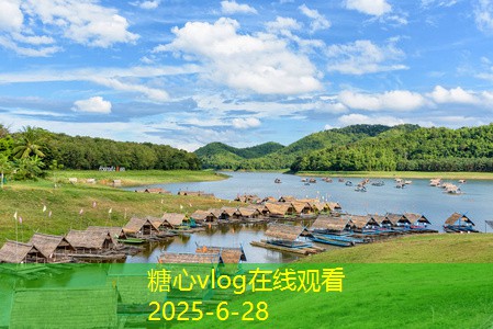 糖心vlog在线观看装修需注意的几个关键细节让你避开大坑