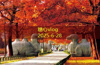 装修需要注意哪些细节才能确保效果与安全并重