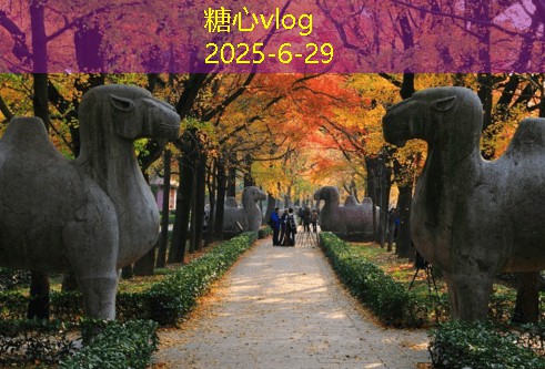 糖心vlog选装修公司注意事项：确保选对公司让家装更省心
