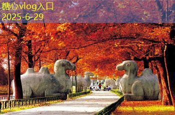 糖心vlog在线观看金坛装修攻略教你如何打造完美家居空间