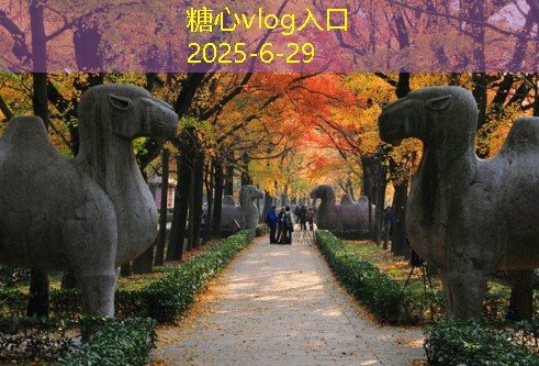 糖心vlog官方网站餐厅装修设计的实用技巧与常见误区解析
